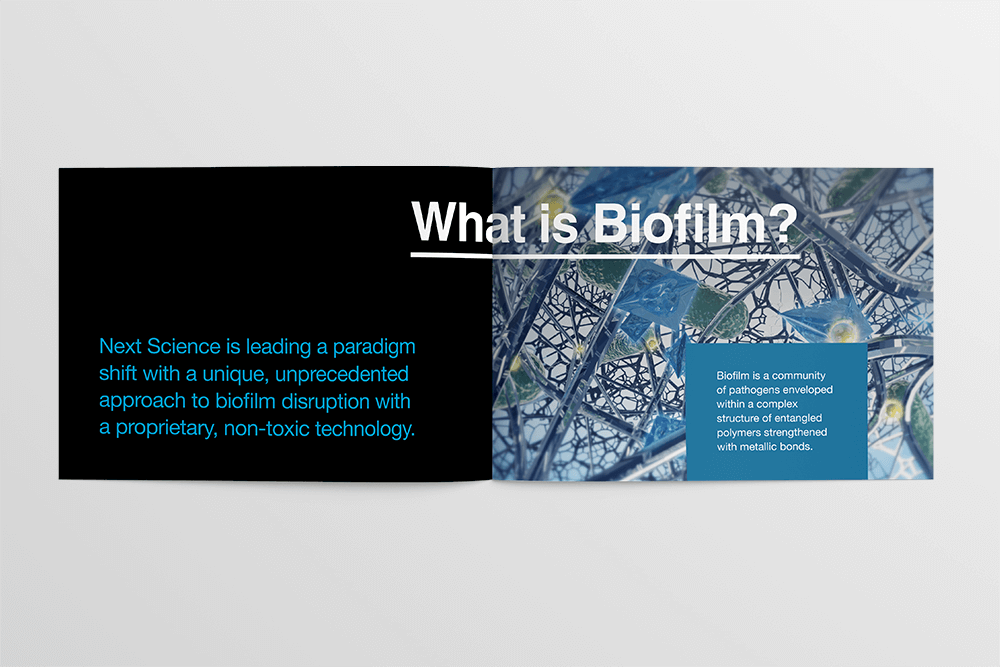 Dallas-Branding_Next-Science_Brochure_6